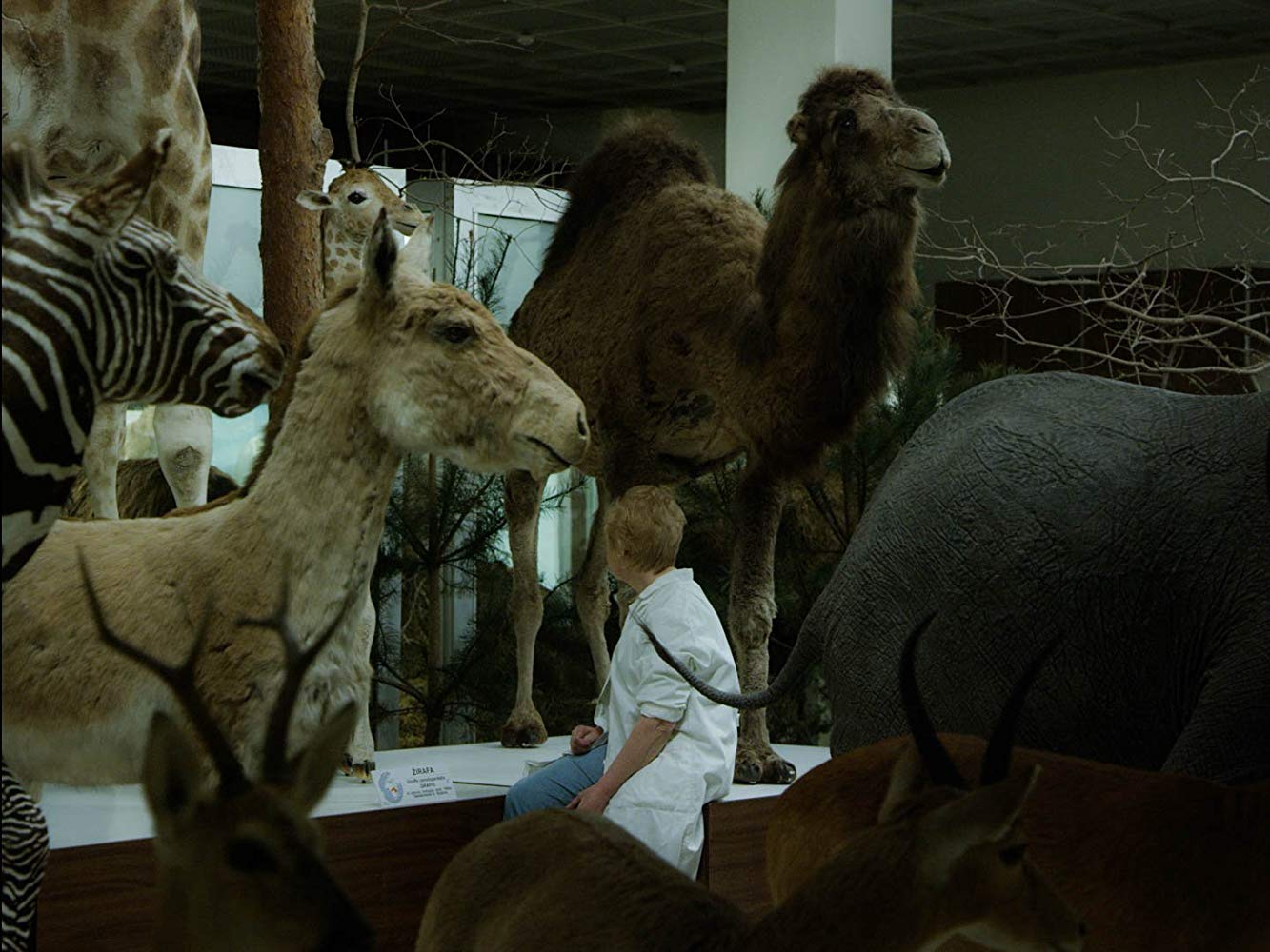 21ο Φεστιβάλ Ντοκιμαντέρ: «Animus Animalis (a story about People, Animals and Things)»