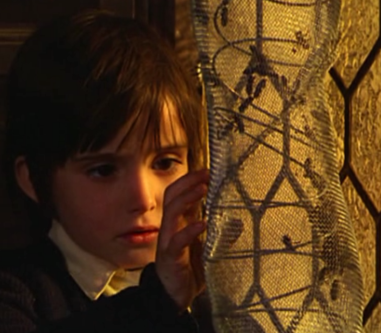 El Espíritu de la Colmena