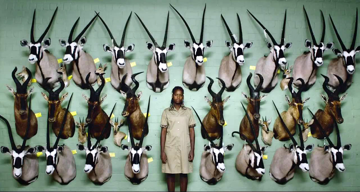 Το 19ο Φεστιβάλ Ντοκιμαντέρ (3-12 Μαρτίου) αποκαλύπτει τα πρώτα του θέλγητρα!