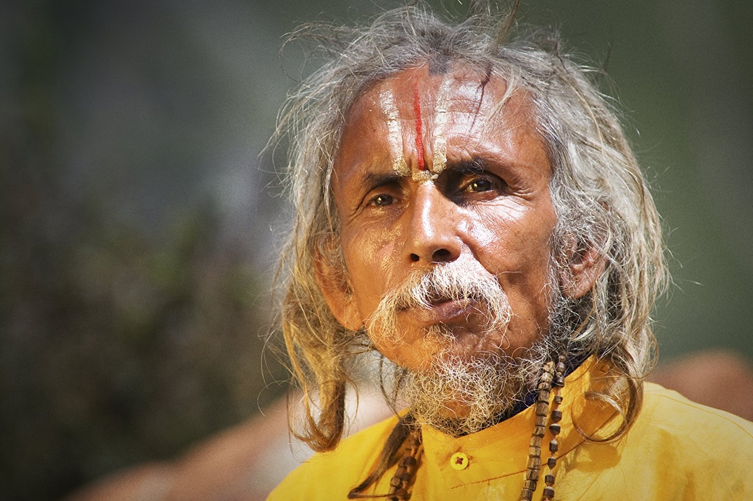 Rasa Yatra: Περί οπτικής γεύσης